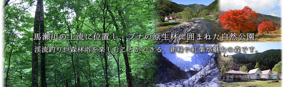 川のほとりのキャンプ場 岐阜県下呂市馬瀬