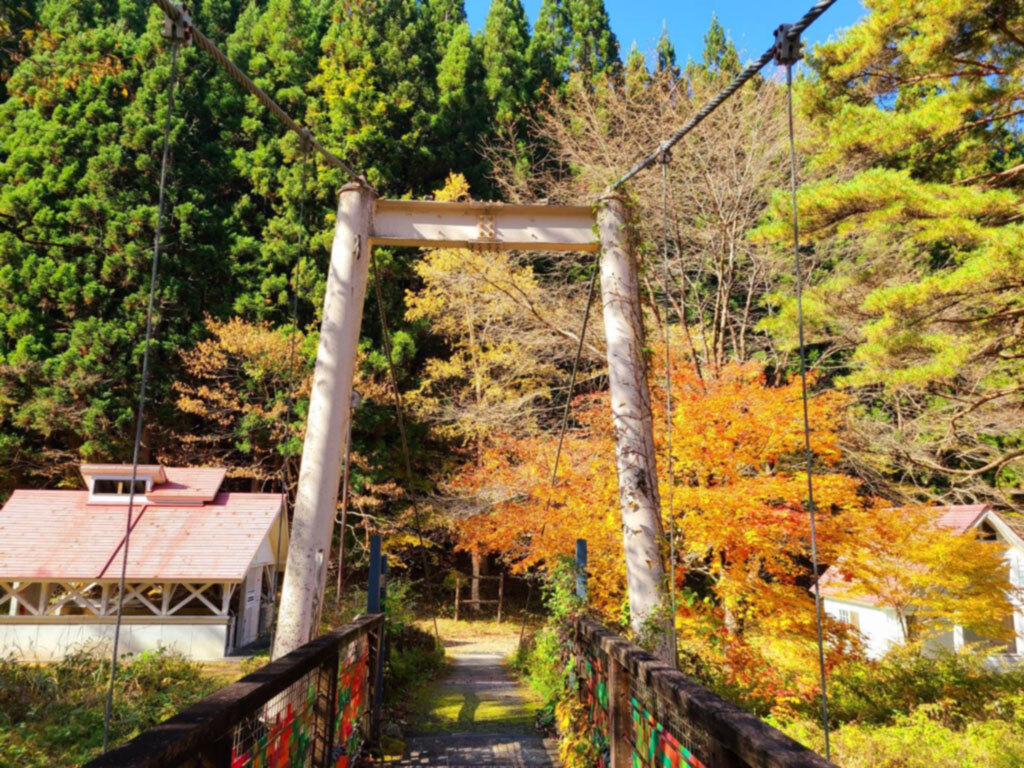 キャンプ・自然体験・各種イベントなら岐阜県下呂市馬瀬の老谷の森への公式サイト画像